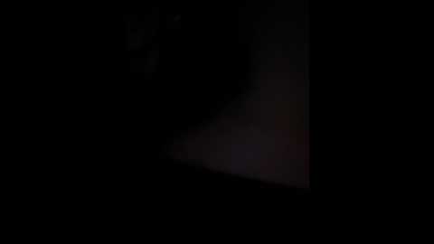 lina_twin @ stripchat on 20241118