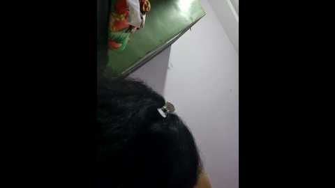 pushpavathi_78 @ stripchat on 20241118