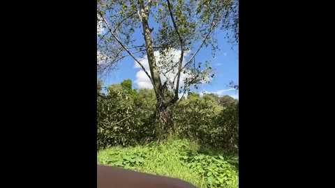 sam_sara @ stripchat on 20241118