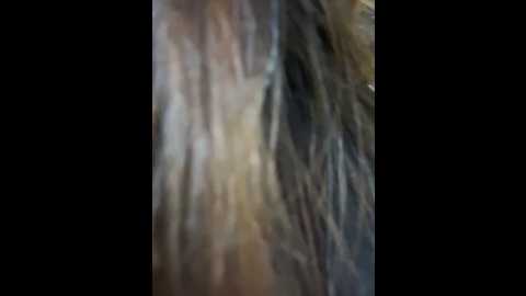 xixi_gala @ stripchat on 20241118