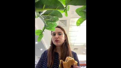 dina_tease @ stripchat on 20241119
