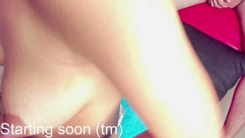 extreme_dirty_paradise @ stripchat on 20241119