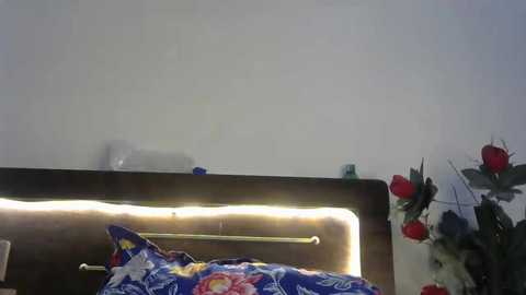 kaira_noughty