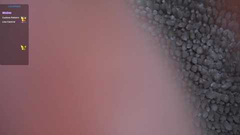 nicdani_1 @ stripchat on 20241119