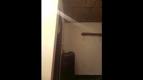 puspita_ @ stripchat on 20241119