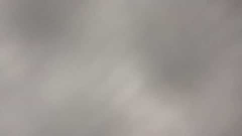 sililis @ stripchat on 20241119