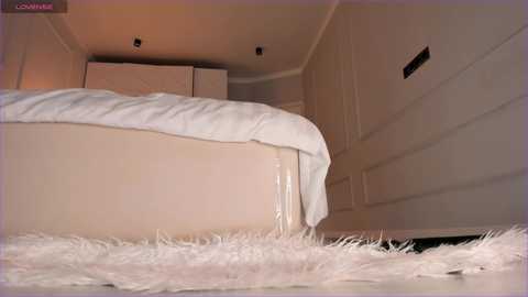 stellagracee @ stripchat on 20241119