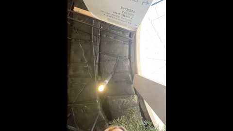 suziemurray @ stripchat on 20241119