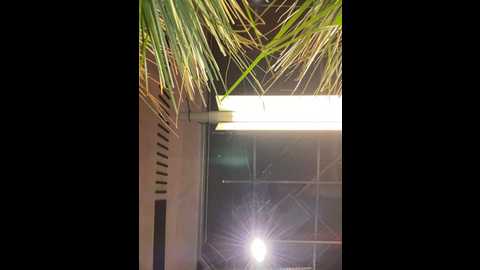 suziemurray @ stripchat on 20241119