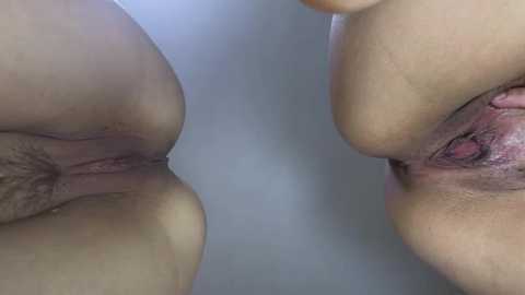 miyamoto_marina @ stripchat on 20241120