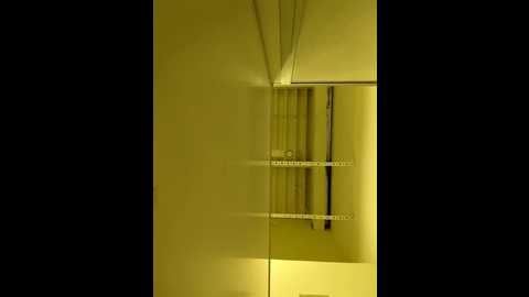 morphine_666 @ stripchat on 20241120