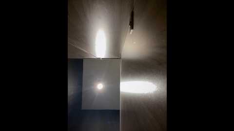 carolina__star @ stripchat on 20241121