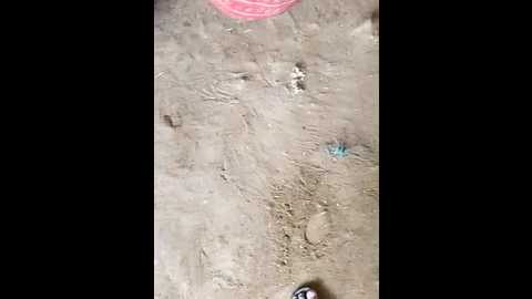 indiankanak @ stripchat on 20241121