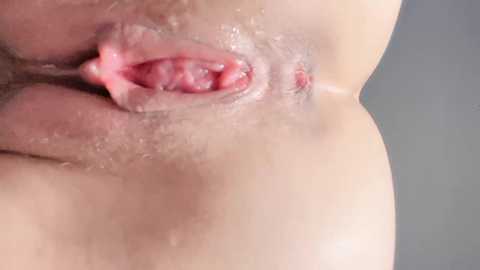 krismil3 @ stripchat on 20241121