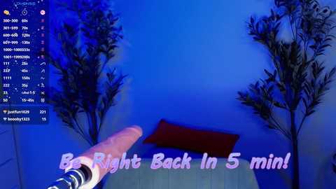 allicebrown_ @ stripchat on 20241122