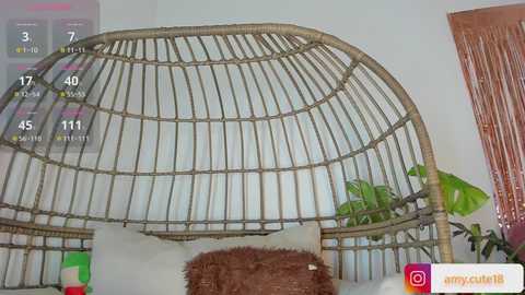 amy_skinny @ stripchat on 20241122