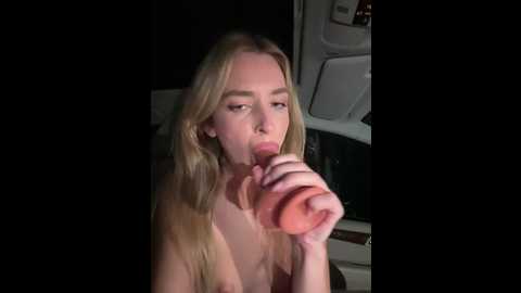 evieevans @ stripchat on 20241122