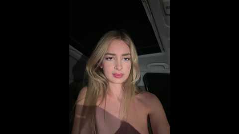 evieevans @ stripchat on 20241122