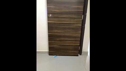 kaamuk_shweta @ stripchat on 20241122