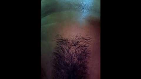 latin_summer @ stripchat on 20241122