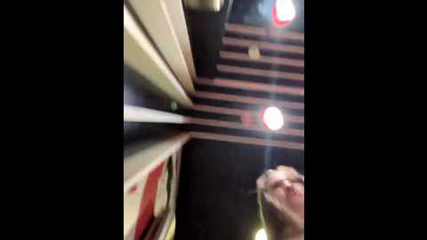 morphine_666 @ stripchat on 20241122