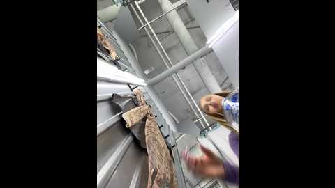 mur_girl @ stripchat on 20241122