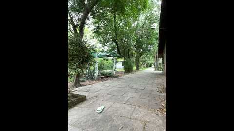 nathrickkk @ stripchat on 20241122