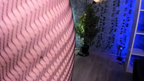 sofi_lynn @ stripchat on 20241122