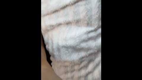 sssativa_model @ stripchat on 20241122