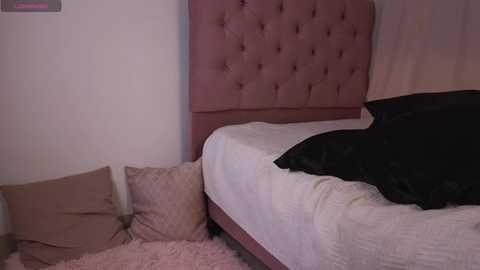 arielle_hannah1 @ stripchat on 20241123