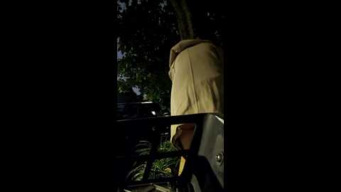 chestnut023 @ stripchat on 20241123