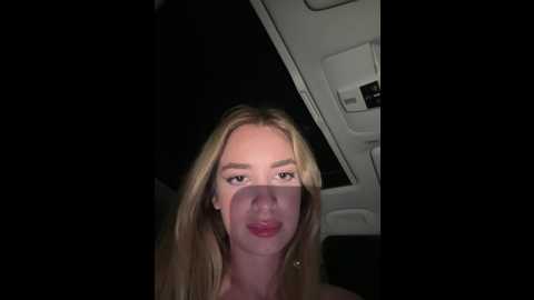 evieevans @ stripchat on 20241123