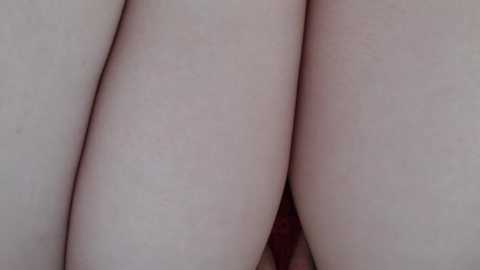 haru_run @ stripchat on 20241123