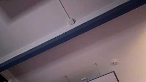 lella_ryann_ @ stripchat on 20241123