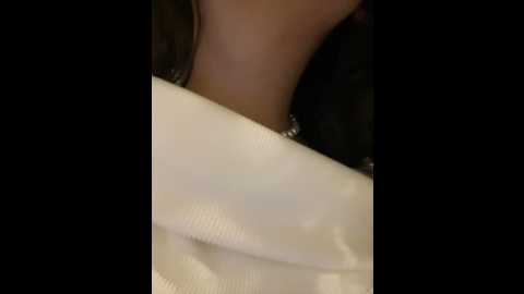 lina_twin @ stripchat on 20241123
