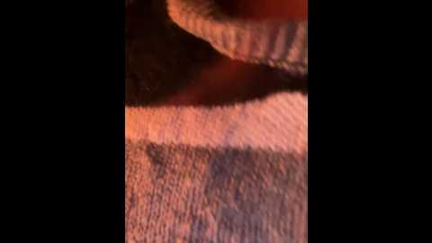 marcimaa @ stripchat on 20241123