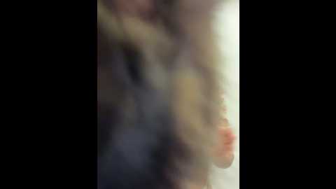 missani @ stripchat on 20241123