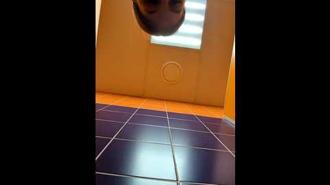morphine_666 @ stripchat on 20241123