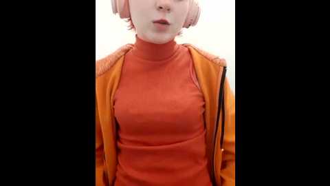 noka_foxy