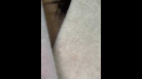 xixi_gala @ stripchat on 20241123