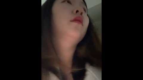 xixi_gala @ stripchat on 20241123
