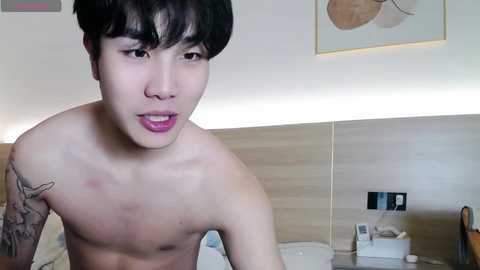 beibei163 @ stripchat on 20241124