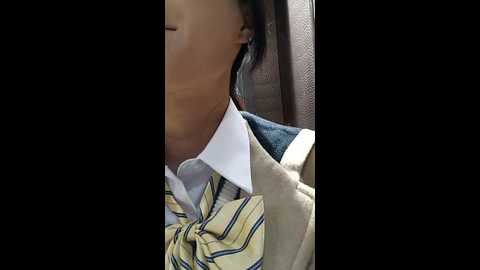 chestnut023 @ stripchat on 20241124