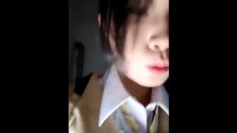 chestnut023 @ stripchat on 20241124