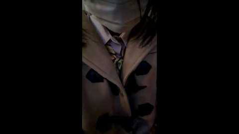 chestnut023 @ stripchat on 20241124