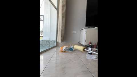 emiss_ @ stripchat on 20241124