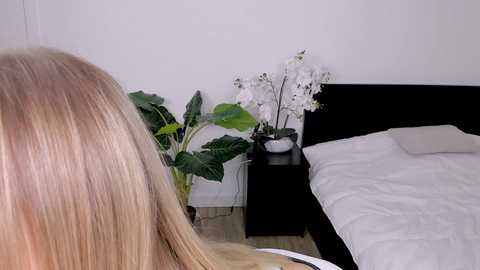 nicole_youthfull @ stripchat on 20241124