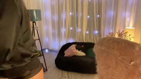 unique_beauty @ stripchat on 20241124