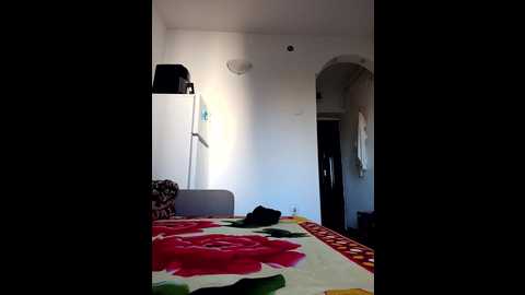 virgin_pussy_love @ stripchat on 20241124