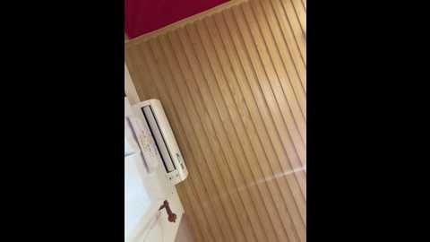 eira2004 @ stripchat on 20241125